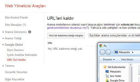 Google Toplu Url Kaldırma
