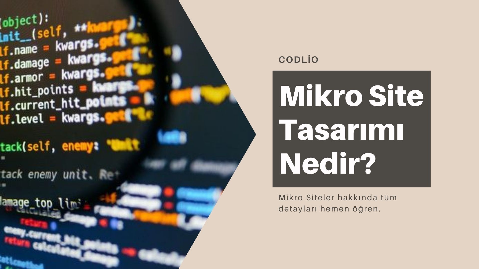 Mikro Site Tasarımı